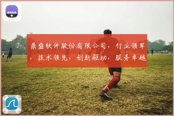 鼎盛软件股份有限公司，行业领军，技术领先，创新驱动，服务卓越，引领未来。