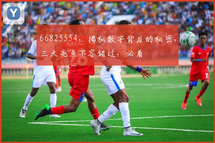 66825554，揭秘数字背后的秘密，三大亮点不容错过，必看