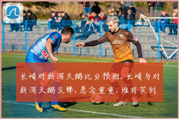 长崎对新泻天鹅比分预测,长崎与对新泻天鹅交锋,悬念重重,谁将笑到最后