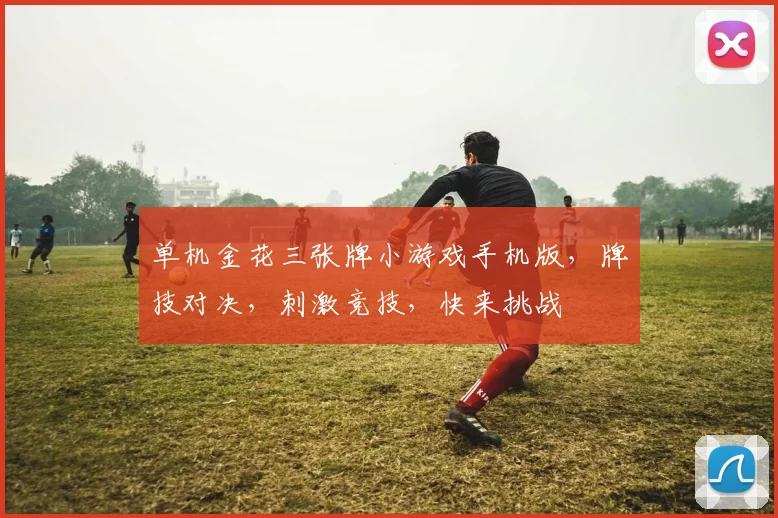 单机金花三张牌小游戏手机版，牌技对决，刺激竞技，快来挑战