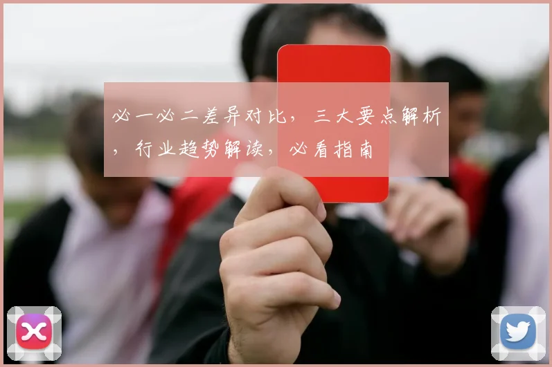 必一必二差异对比，三大要点解析，行业趋势解读，必看指南