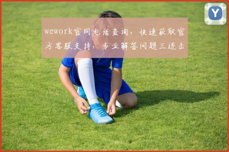 wework官网电话查询，快速获取官方客服支持，专业解答问题三连击