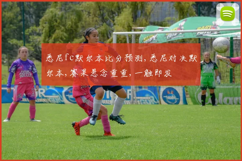 悉尼fc默尔本比分预测,悉尼对决默尔本,赛果悬念重重,一触即发